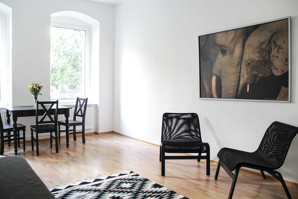 Furnished apartment, living room with designer furniture in Berlin Adlershof
