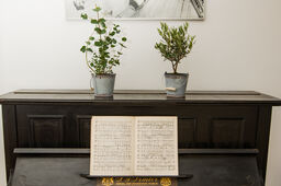 Furnished apartment in Berlin, Kreuzberg - #6318-5