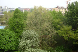 Möblierte Wohnung in Berlin, Mitte - #6426-10