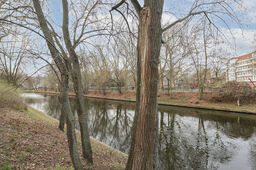 Furnished apartment in Berlin, Neukölln - #6455-24