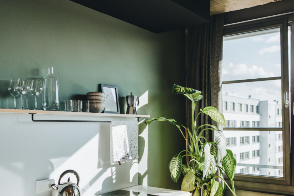 Serviced apartment, kitchen with green wall in Berlin Friedrichshain