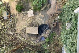 Furnished apartment in Berlin, Mitte - #1710-25