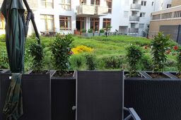 Möblierte Wohnung in Frankfurt, Innenstadt - #6495-9
