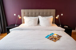 Serviced Apartment in Düsseldorf, Altstadt