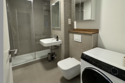 Furnished apartment in Berlin, Mitte