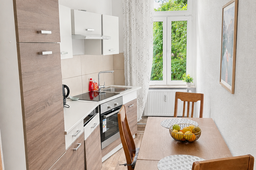 Furnished apartment in Leipzig, Connewitz – Kitchen