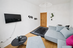 Furnished apartment in Leipzig, Connewitz – Living Room