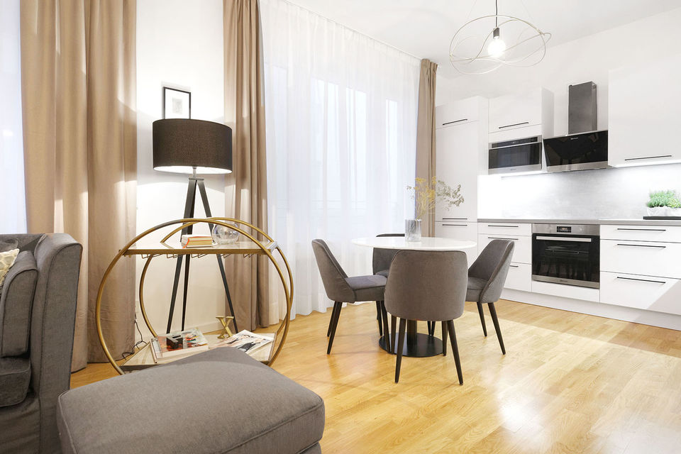 Furnished apartment, living room with open kitchen in Berlin Mitte