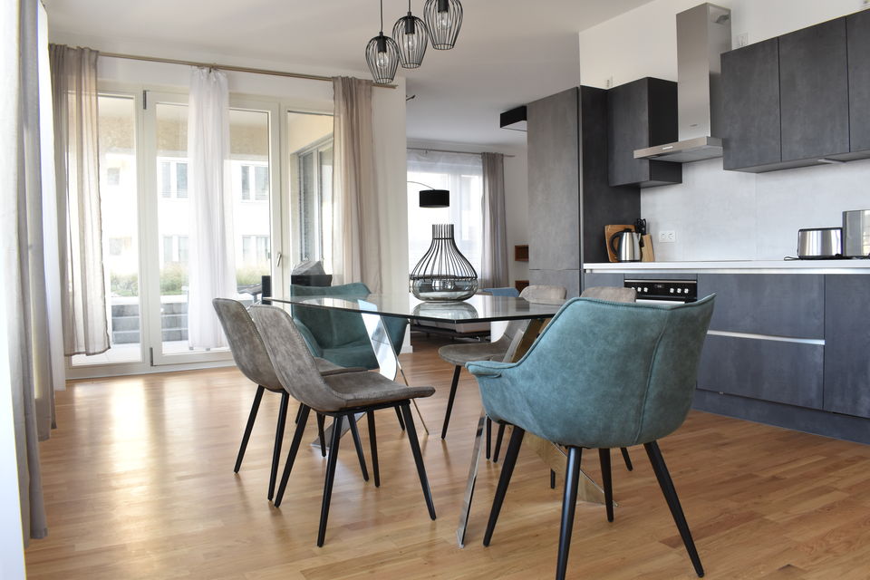 Furnished apartment, kitchen with modern design in Berlin Mitte