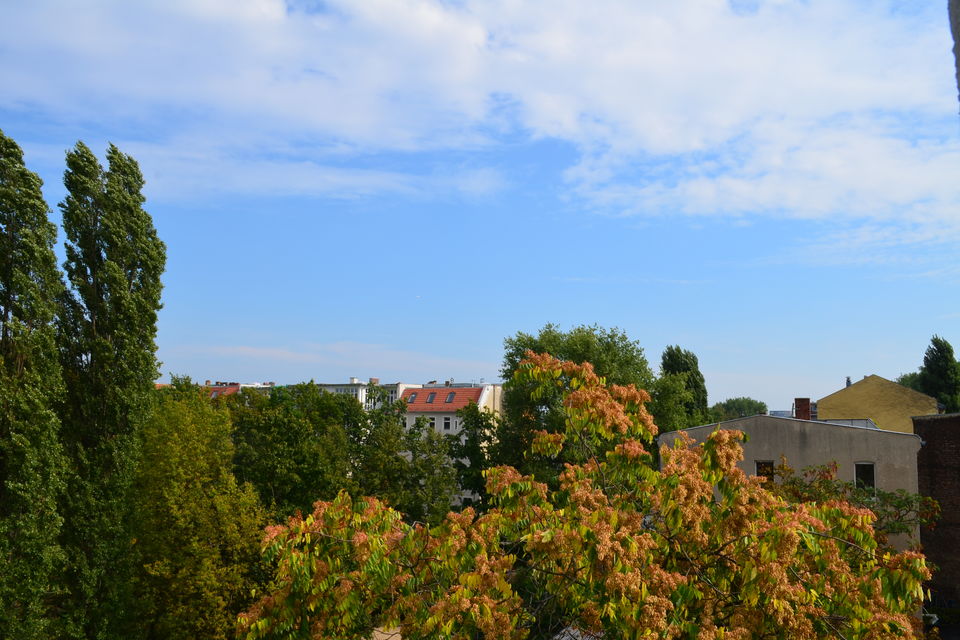 Serviced apartment, view with autumn trees in Berlin Mitte