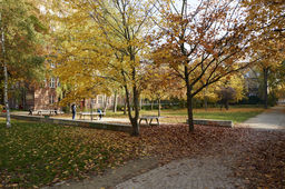 Furnished apartment in Berlin, Mitte - #1710-27