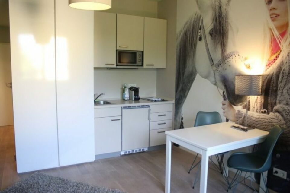 Möblierte Wohnung, Küche mit offener Kochnische in Frankfurt Nordend-Ost