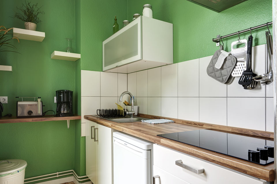 Furnished apartment, kitchen with green wall design in Berlin Prenzlauer Berg