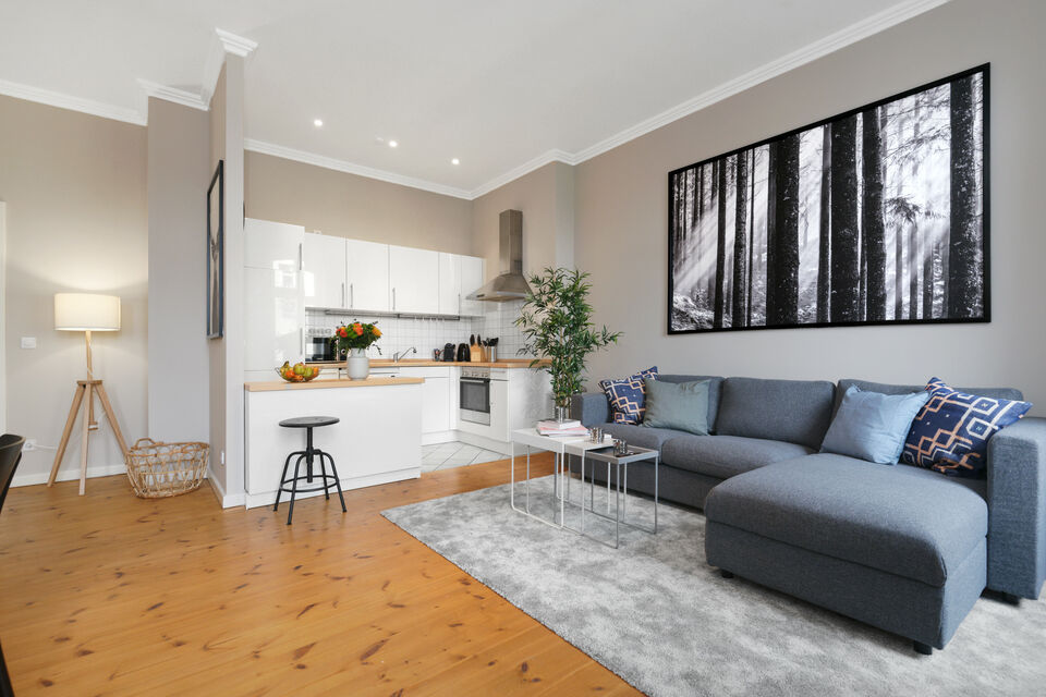 Furnished apartment, living room with open kitchen in Berlin Mitte