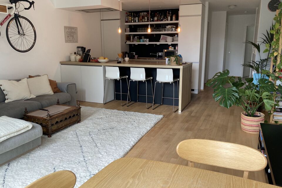 Furnished apartment, living room with open kitchen in Berlin Mitte