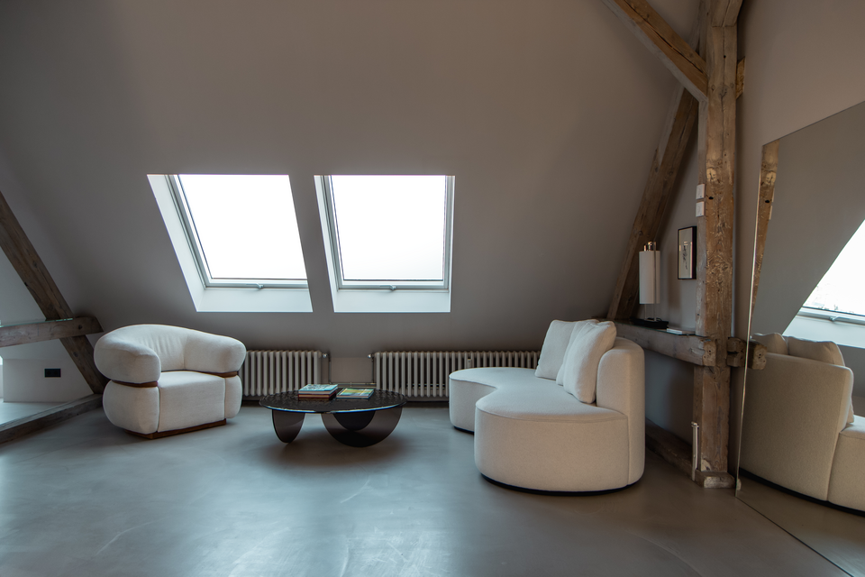 Furnished apartment, living room with skylights in Berlin Mitte
