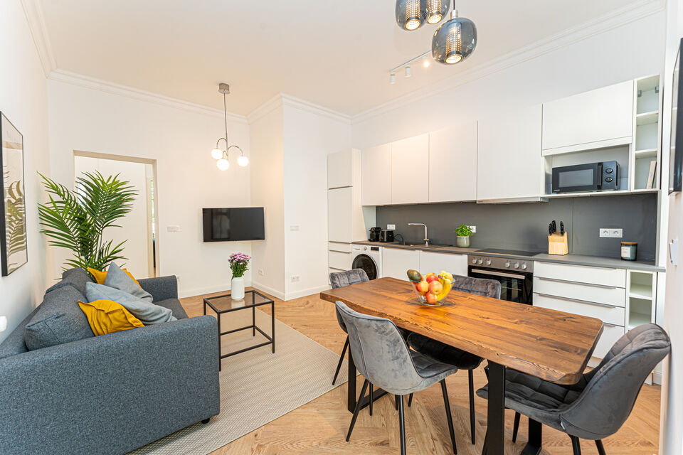 Furnished apartment, living room with open kitchen in Berlin Treptow-Köpenick