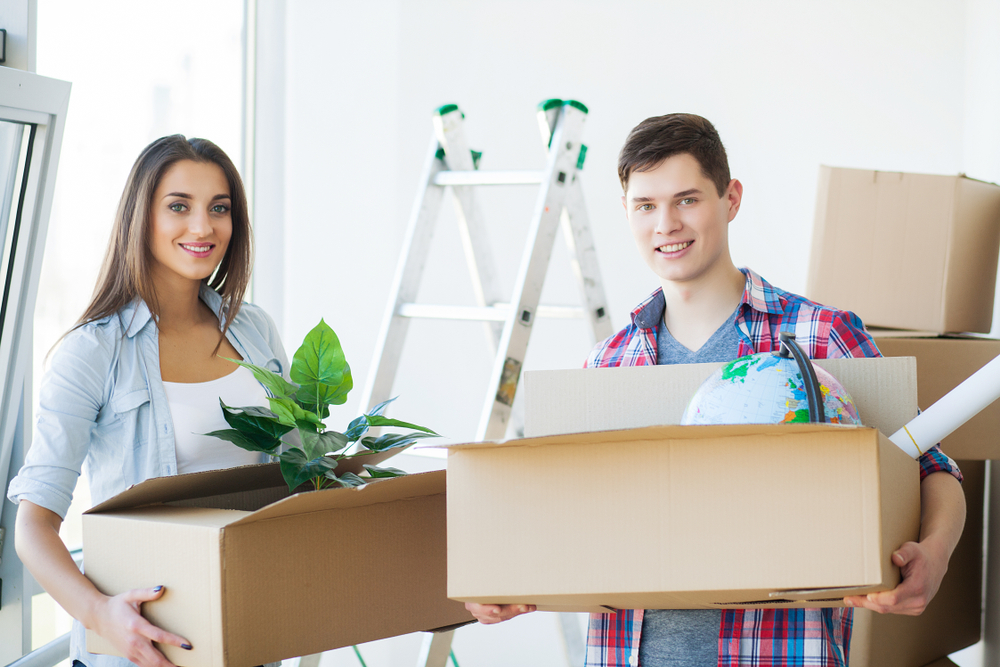 Shutterstock_1039821004