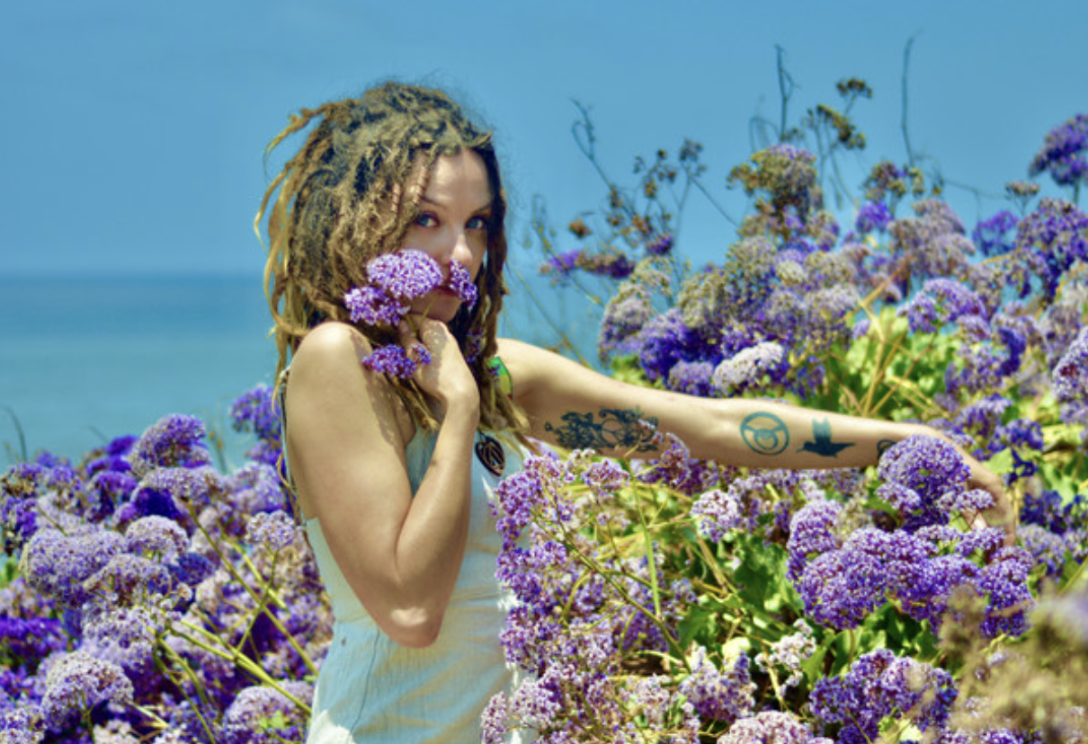 LAVENDER FIELDS