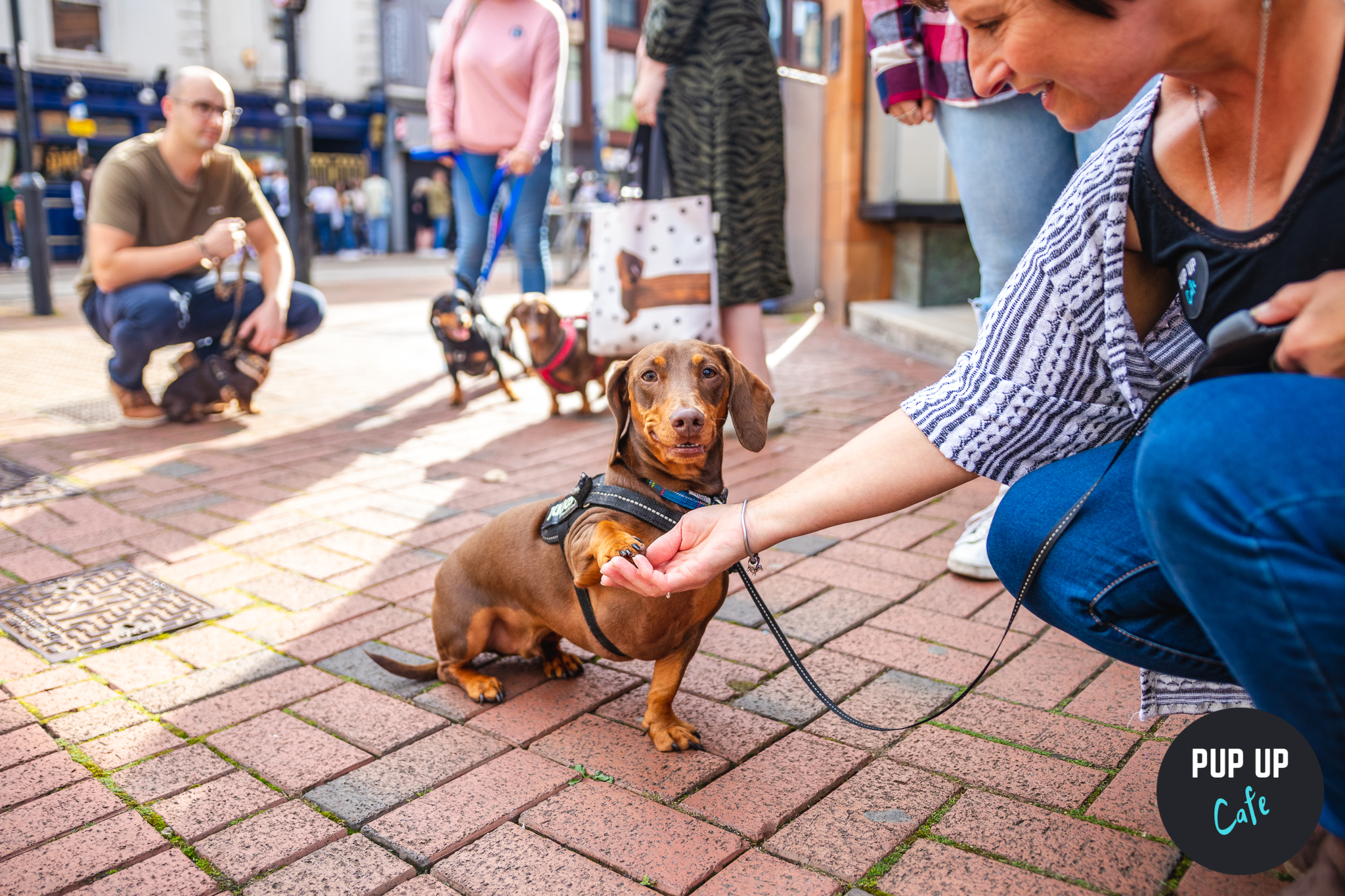 Hundreds of sausages taking over a cafe in Manchester!