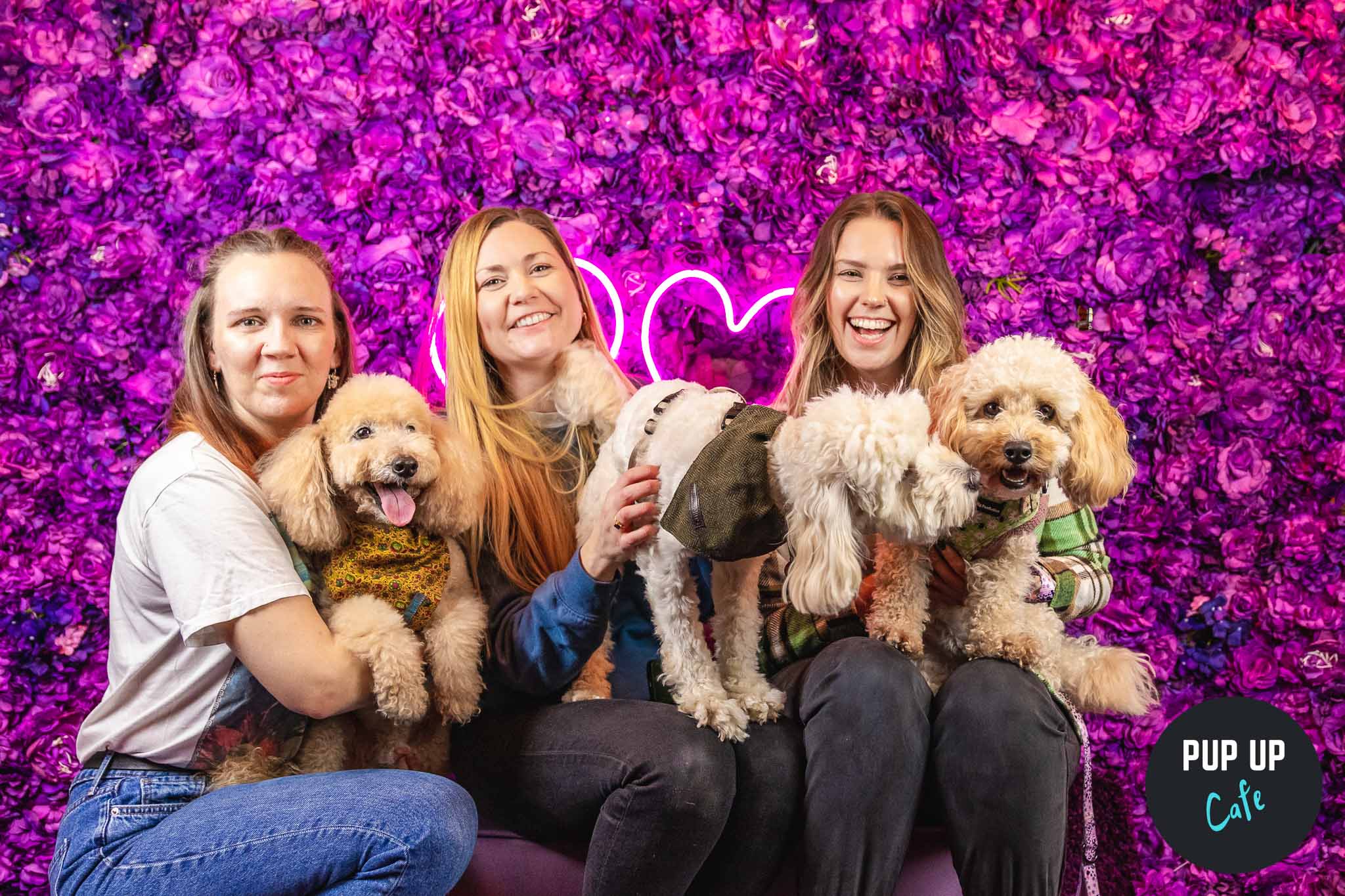 Pup Up Cafe: All Paws Welcome Comes to Glasgow!