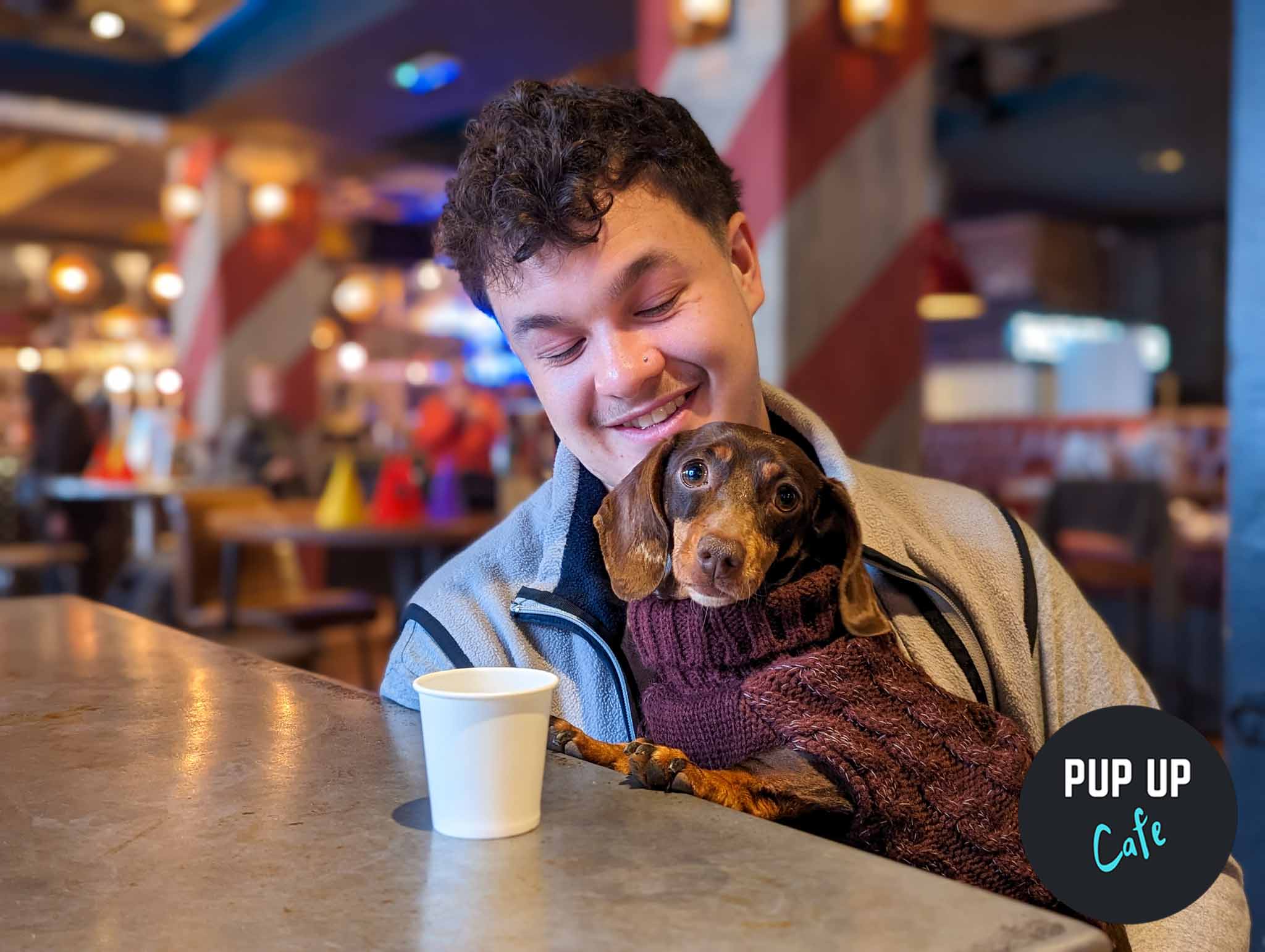 A sausage dog cafe with hundreds of cute dachshund puppies is coming to Manchester
