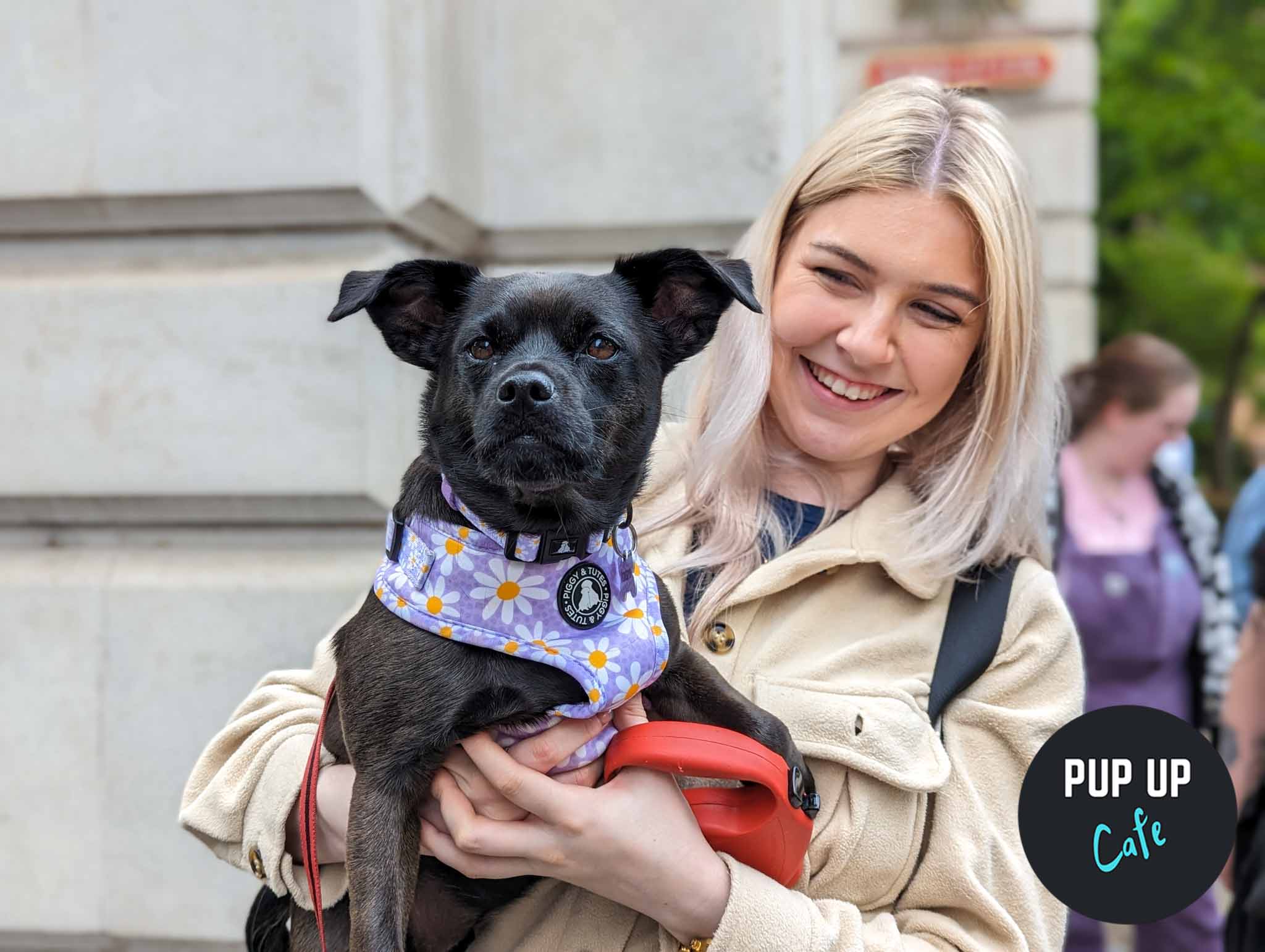 ‘PUP-UP’ CAFE COMING TO BRISTOL FOR DACHSHUNDS, DOODLES, PUGS & FRENCHIES!