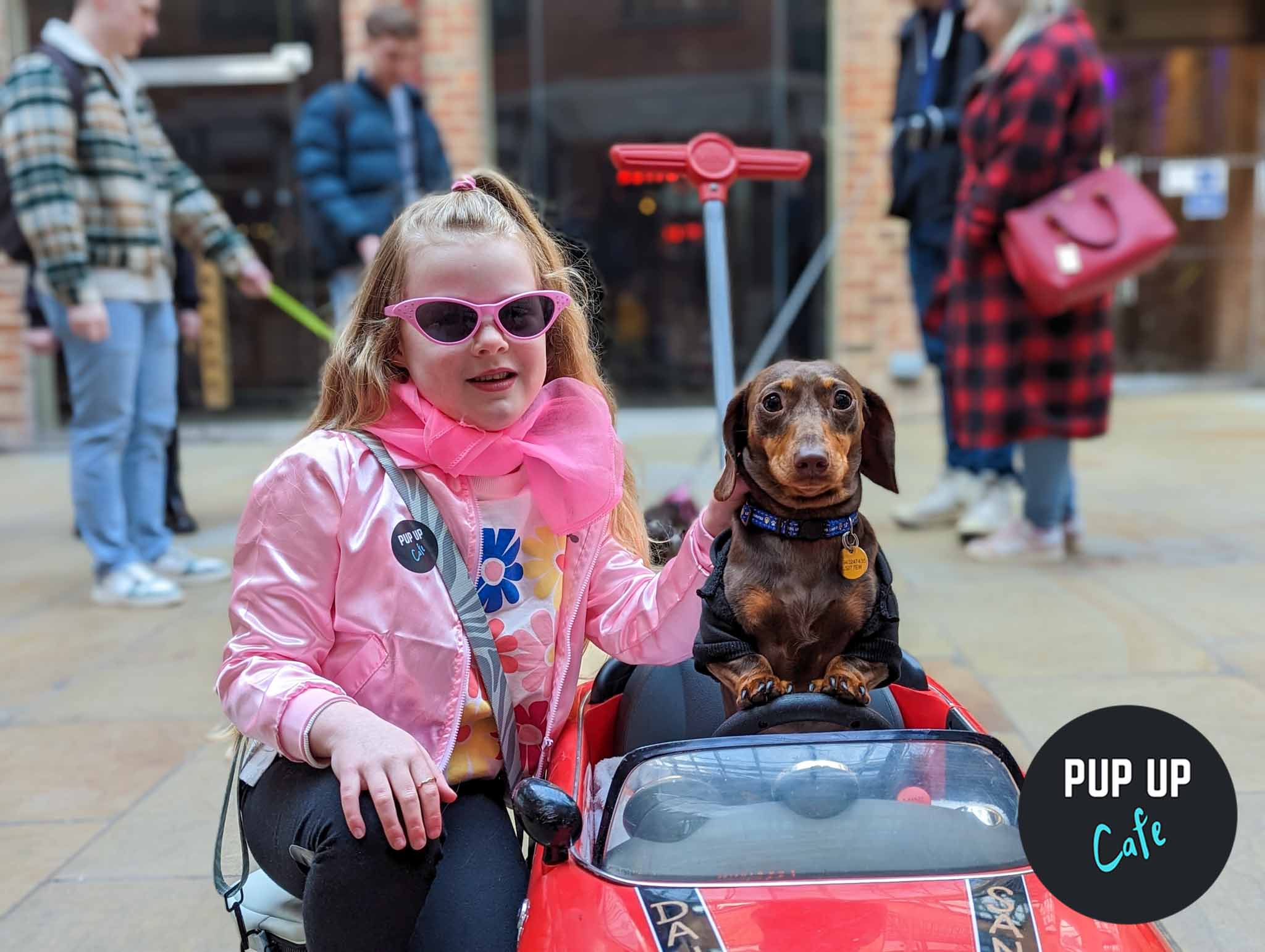 ‘Pup’ up dog cafe on its way to Preston!