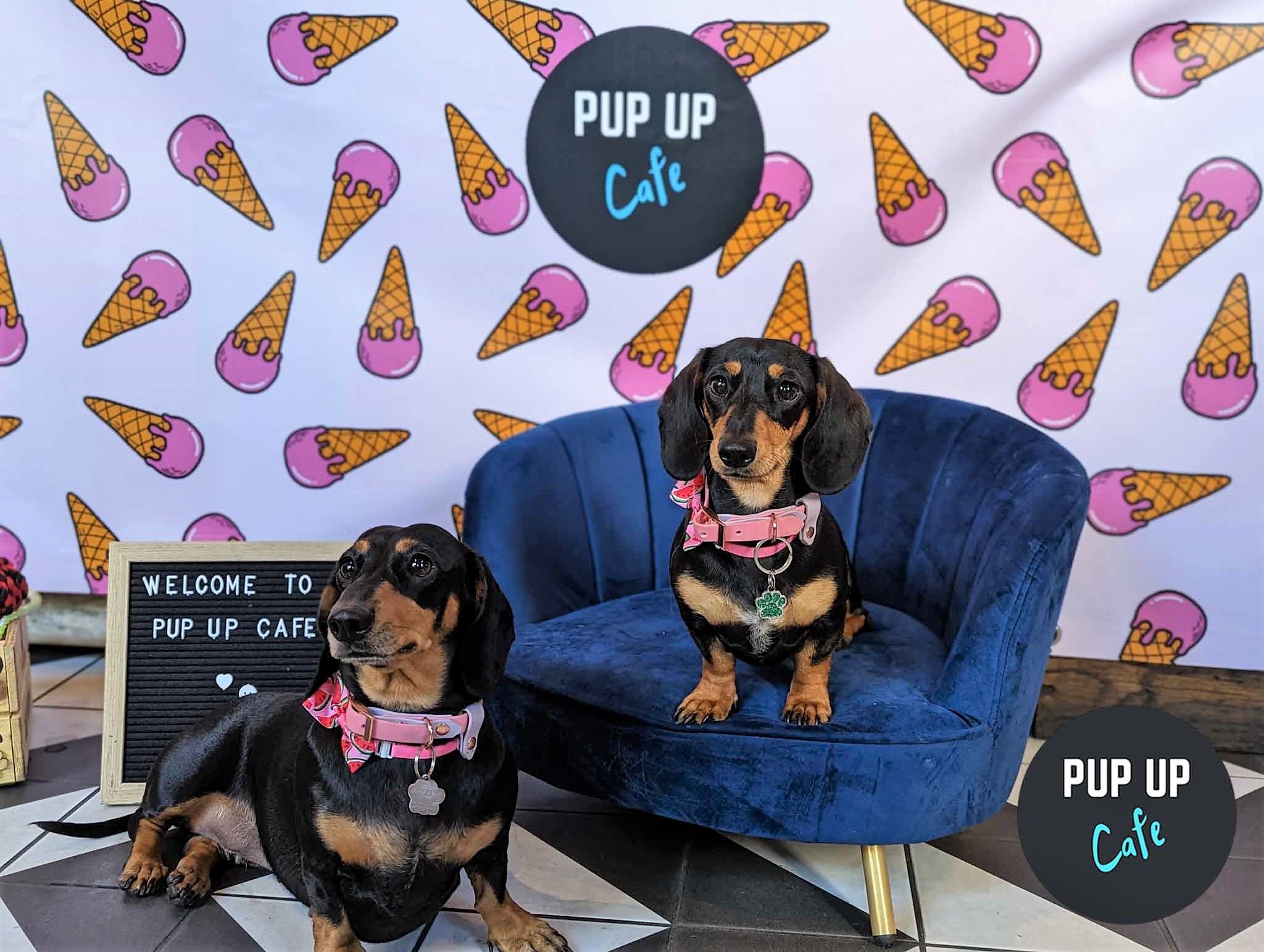These Dog Cafes Are Coming To Yorkshire This Spring