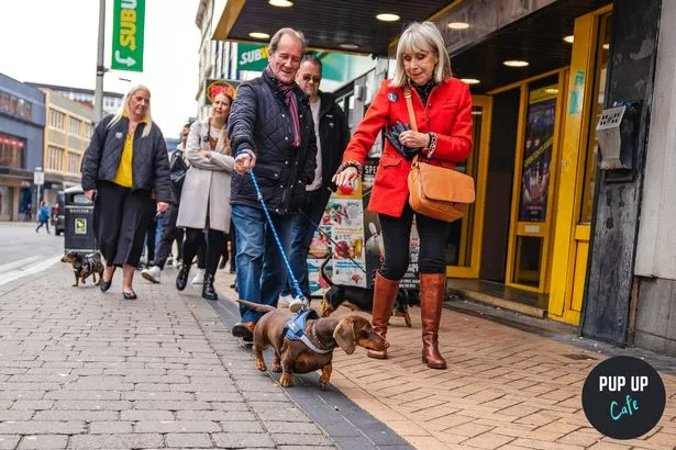 Blackpool’s Pup Up Cafe dragging in 100 Dachshunds!