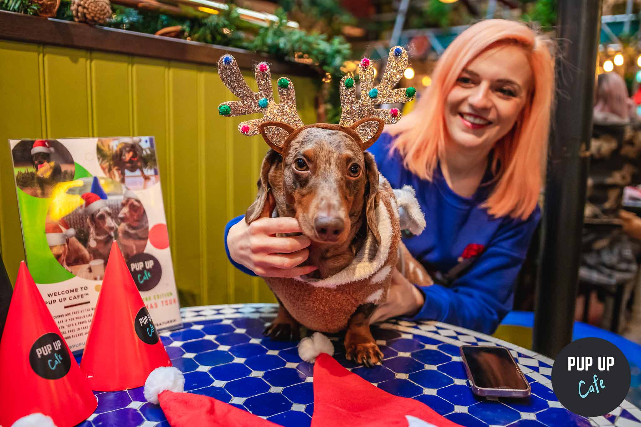 The Dashing Dachshund Christmas Tour Is Coming To Manchester For One Day Only