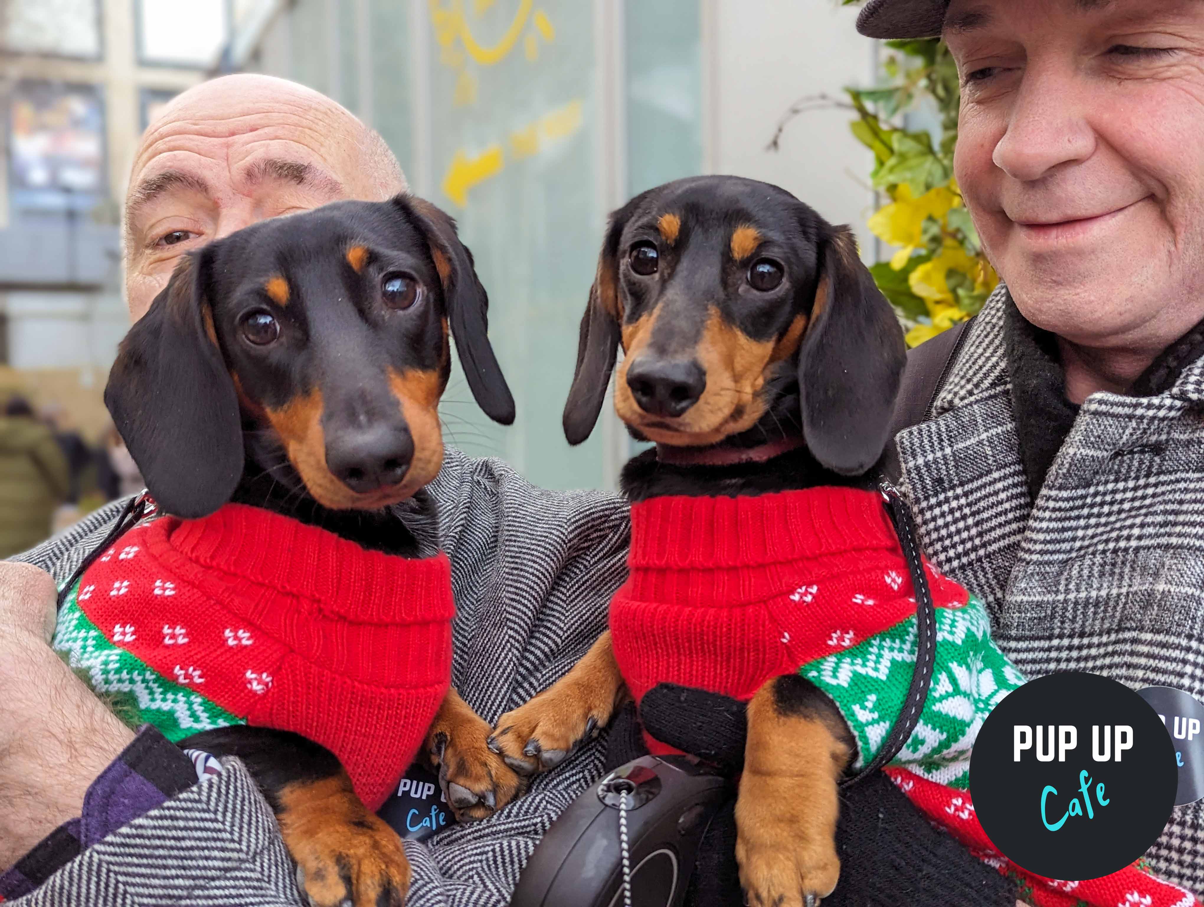 Pop-up Christmas cafe for dogs coming to Nottingham