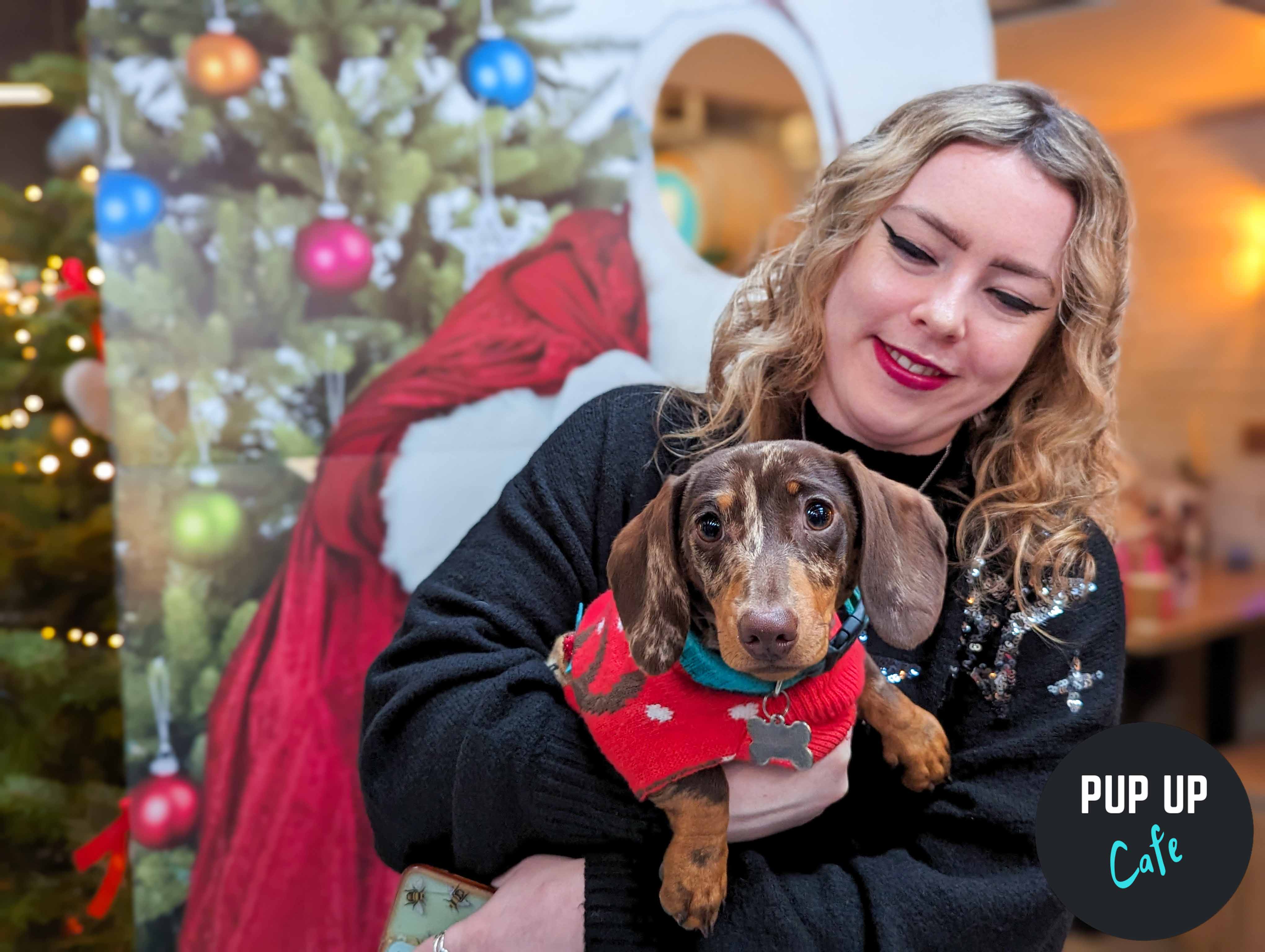 Pop-up Christmas cafe event for Dachshund dogs to come to Milton Keynes
