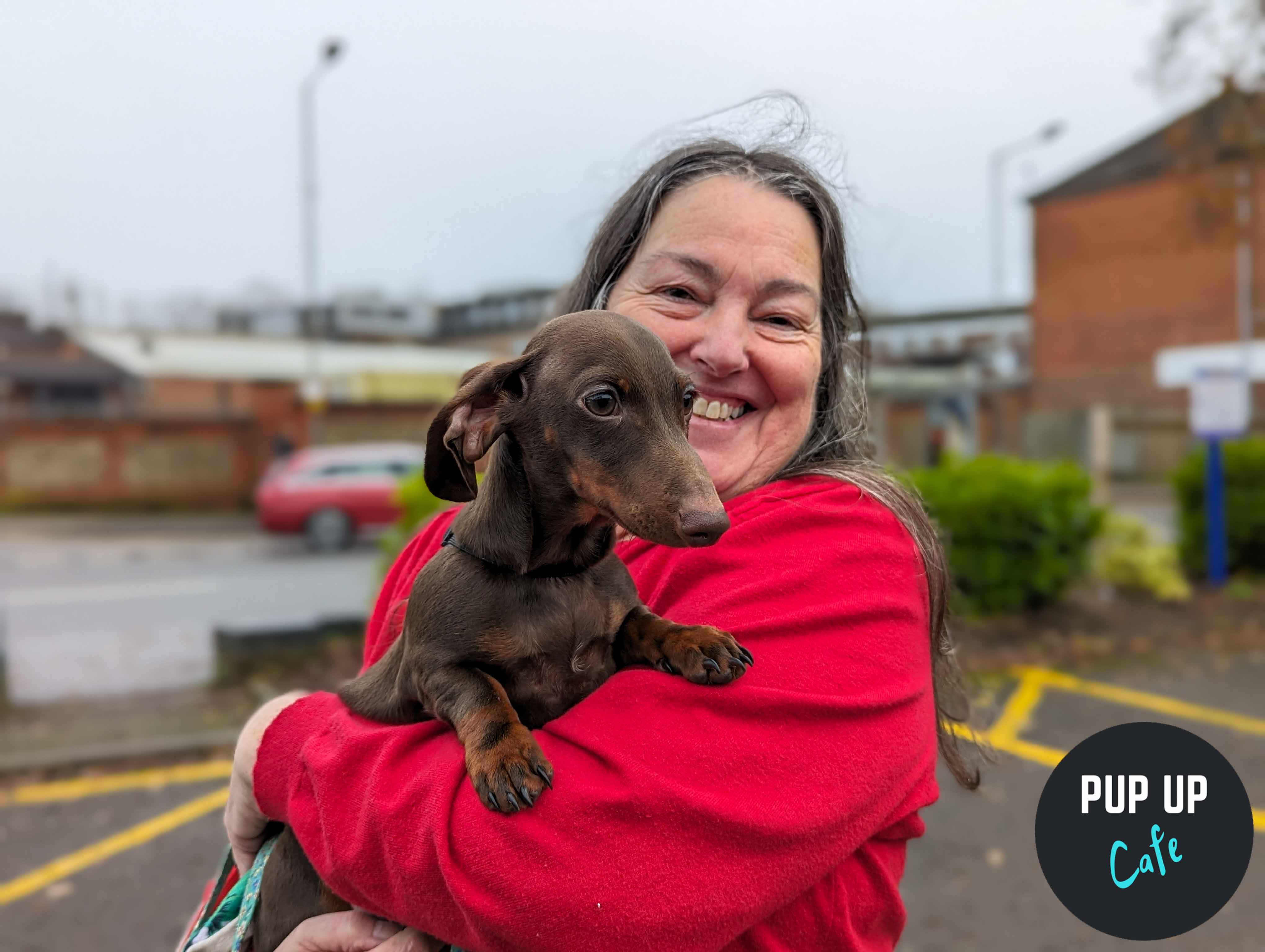 Photos of sausage dog cafe at Revolution in Beaconsfield