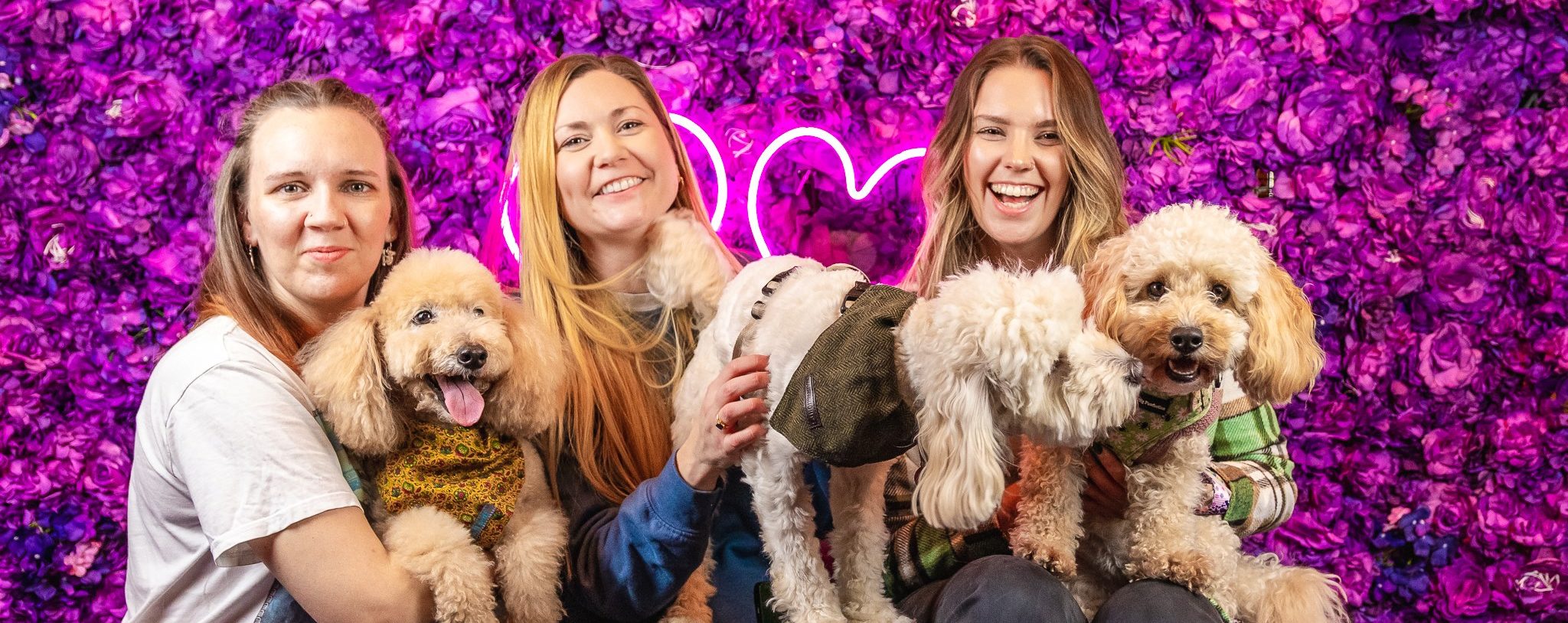 Pup Up Cafe: A Valentine’s Themed Event for Dog Lovers and Their Pets