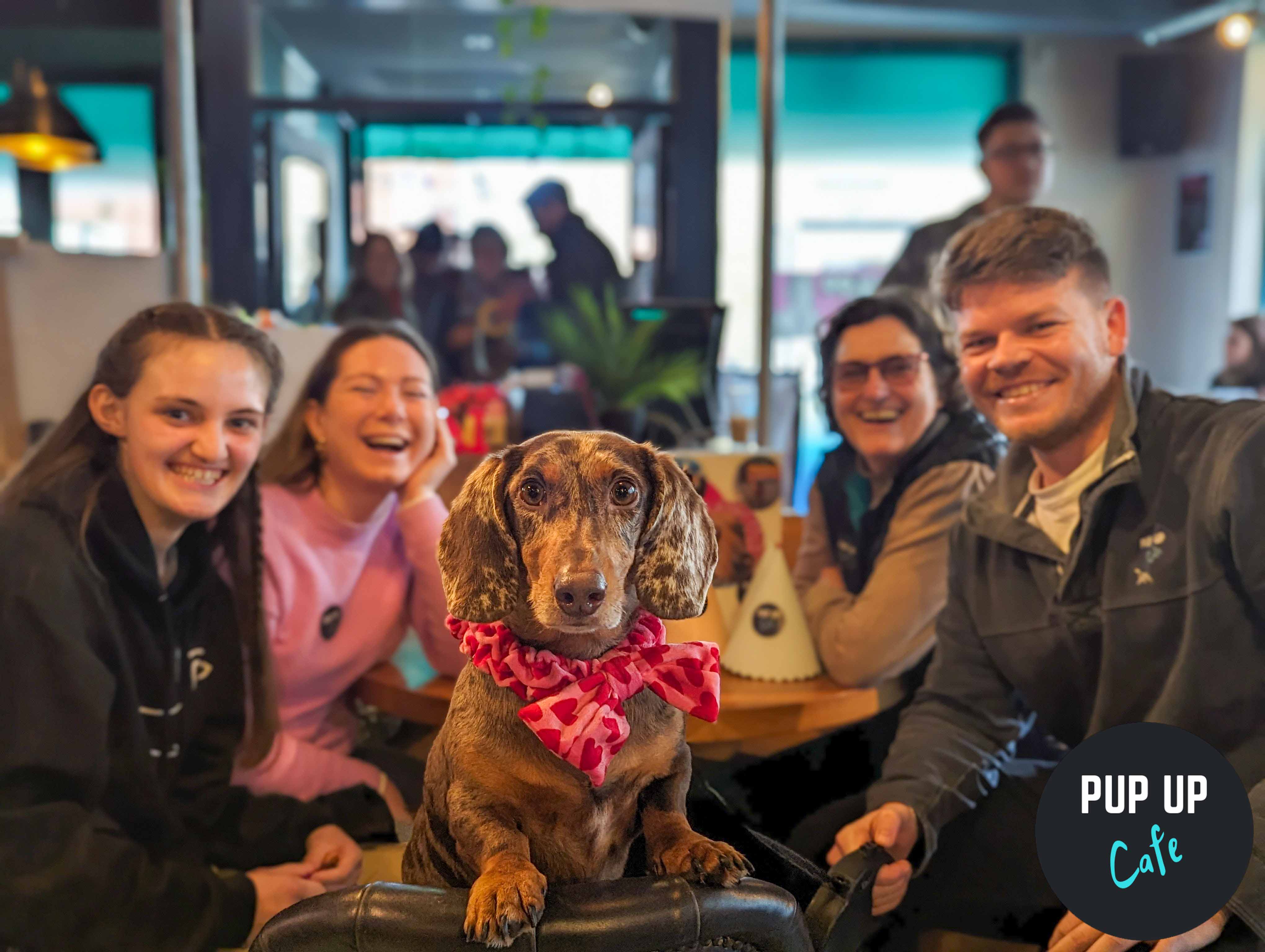 A Sausage Dog Pup-Up Cafe Is Coming To Manchester