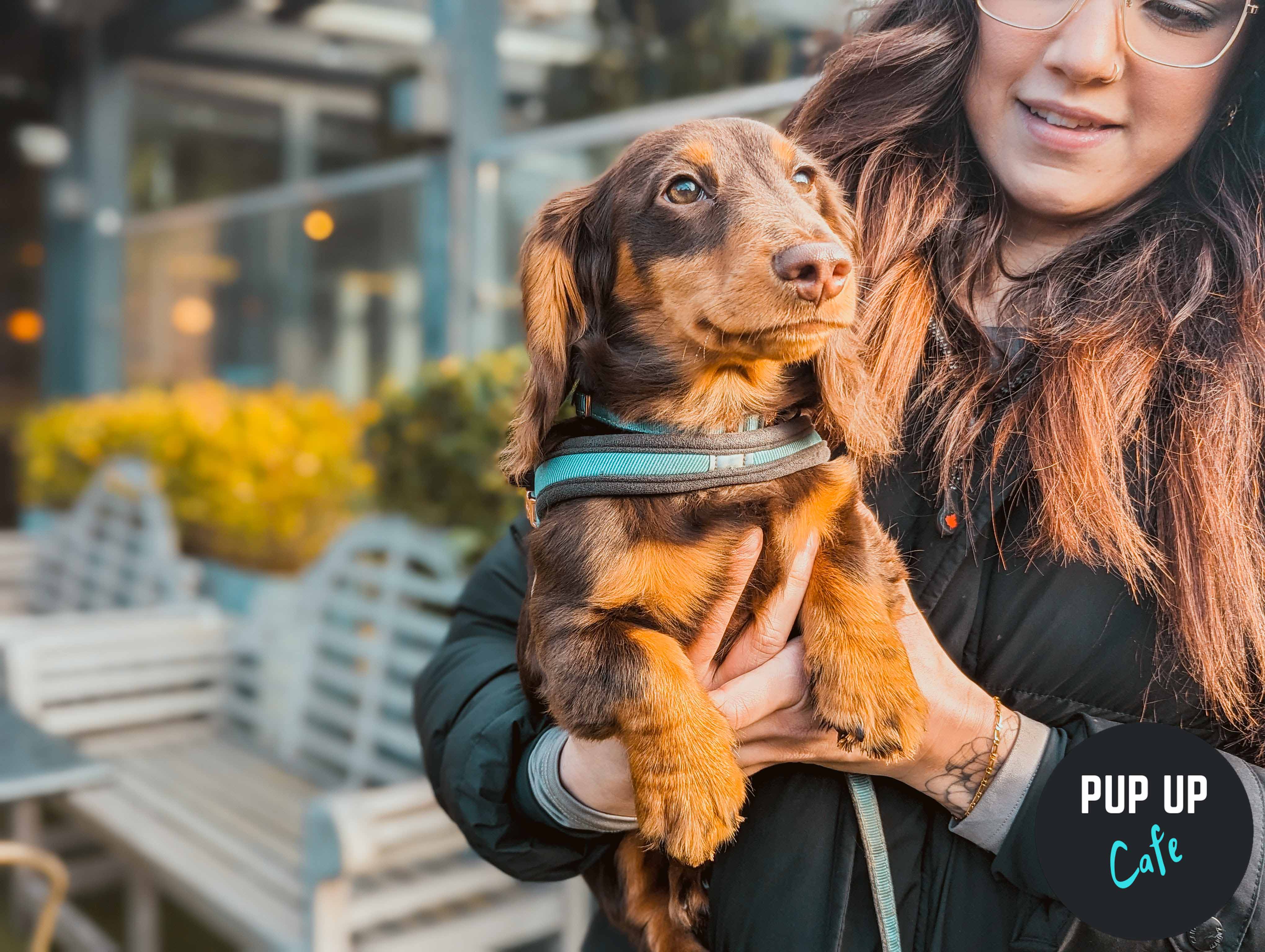 Pup Up Cafe returns to Birmingham