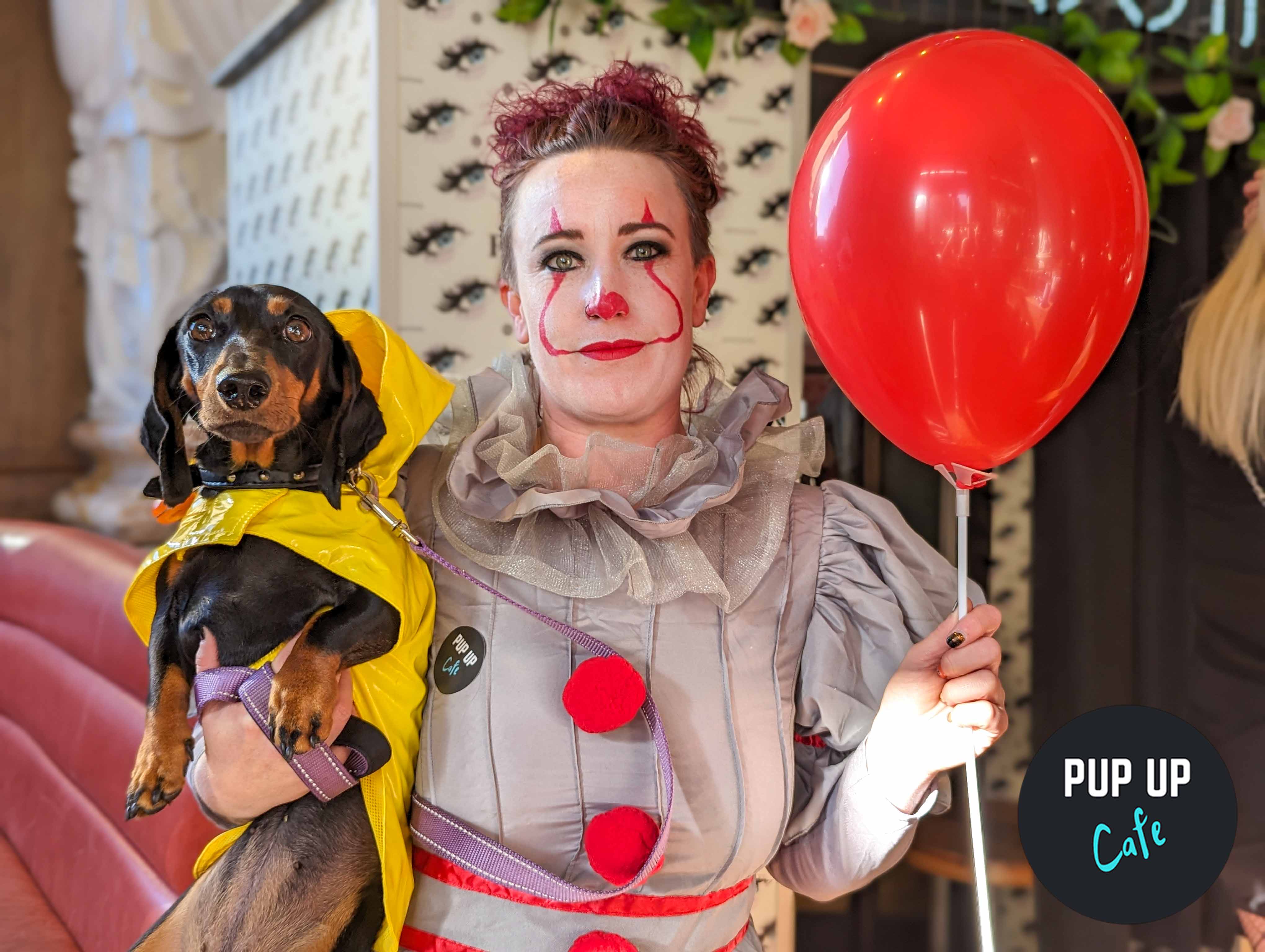 Sausage dog café is coming to Cardiff this Halloween