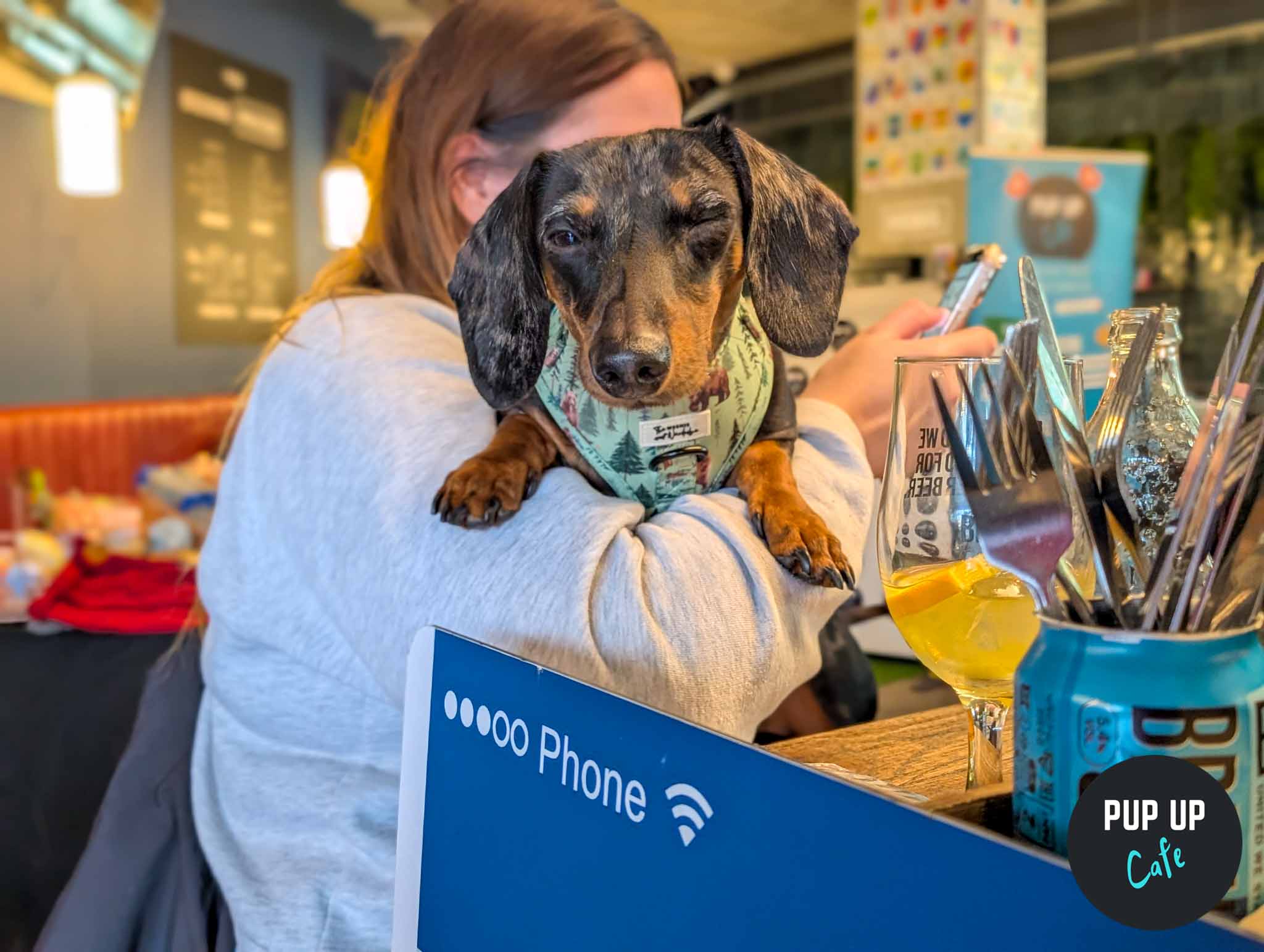 The cutest event ever filled with sausages is in Stafford on Saturday!