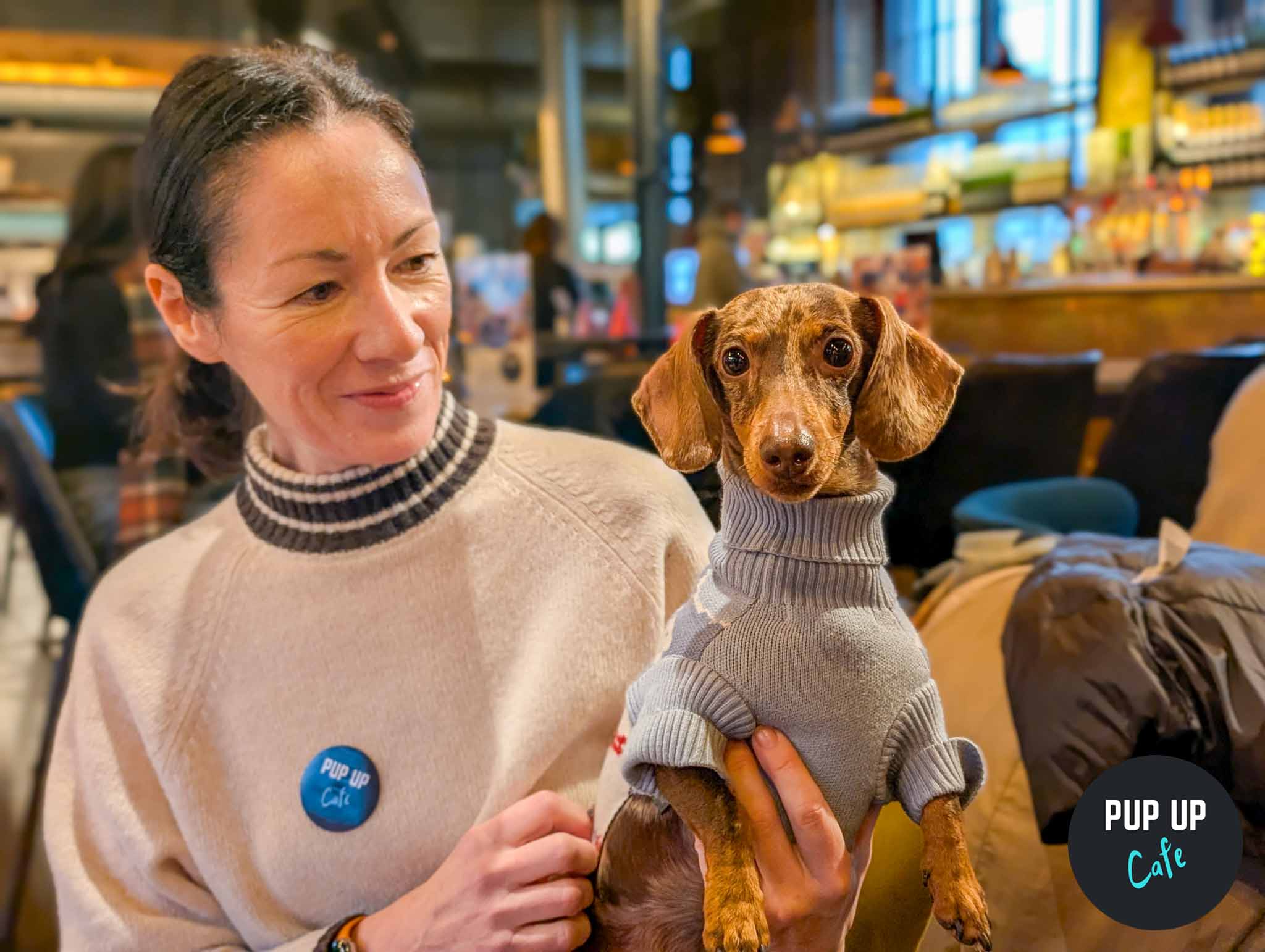 Hundreds of sausage dogs expected at the Sheffield Pup Up Cafe