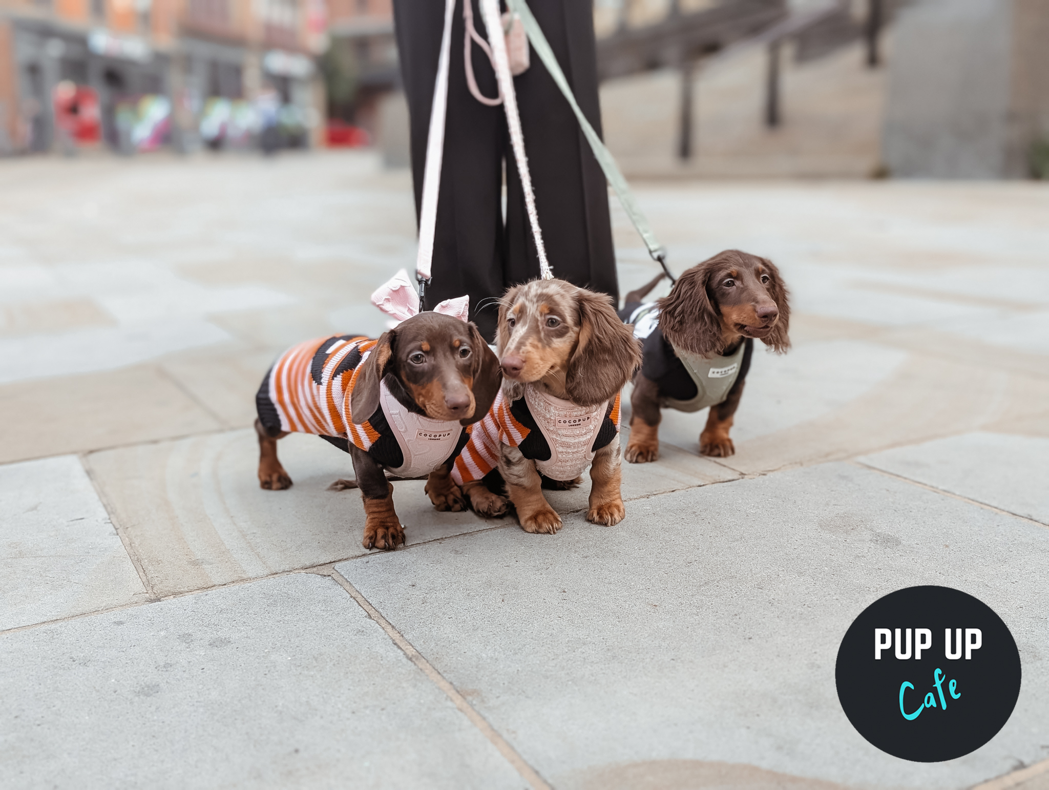 Halloween Leeds Pup Up Cafe Covered by LeedsTV