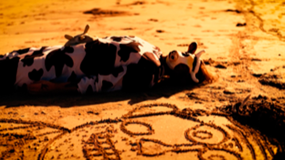 Single Review: Charlie Clark – Don’t Have A Cow, Man!