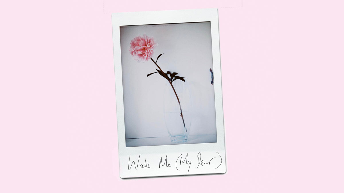 Single Review: Danny Bowles – Wake Me (My Dear)