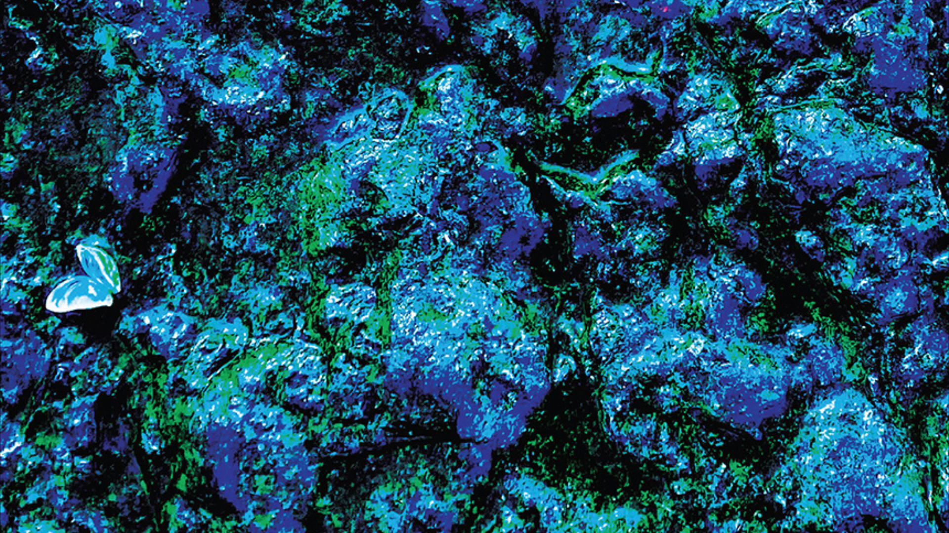 Album Review: SWiiMS – Into The Blue Night