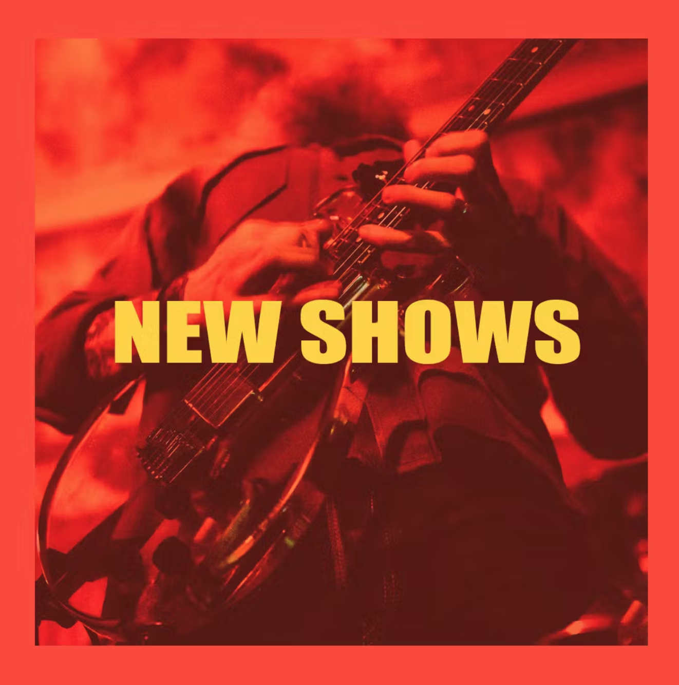 New Shows