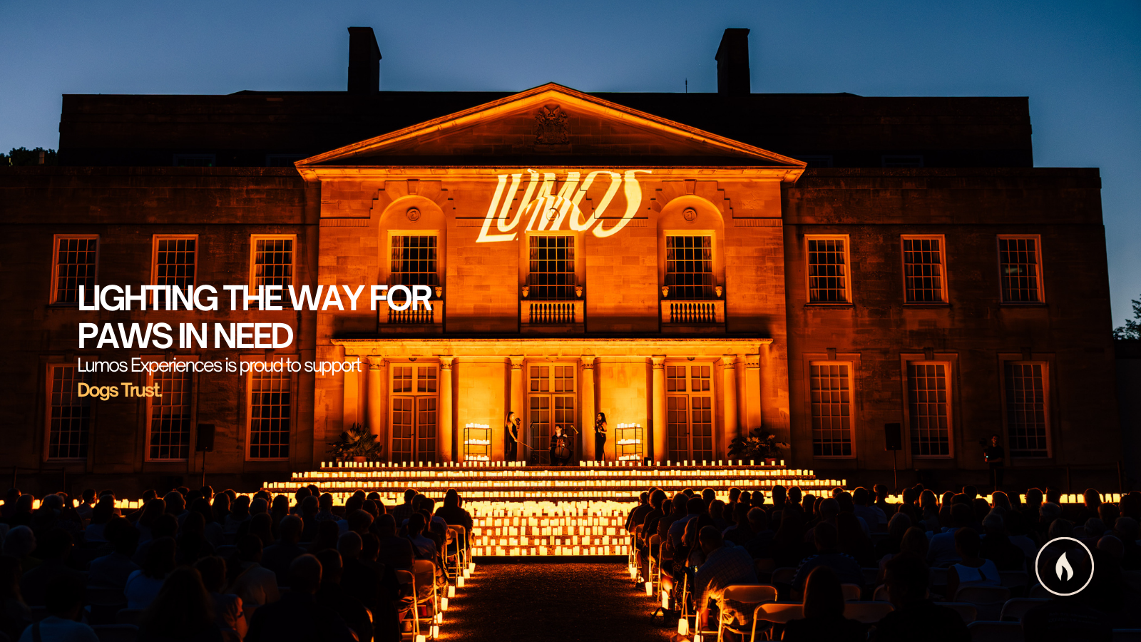 Together for Tails: Lumos Supports Dogs Trust This August