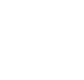 Food icon
