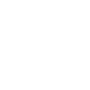snooker icon