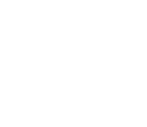pass icon