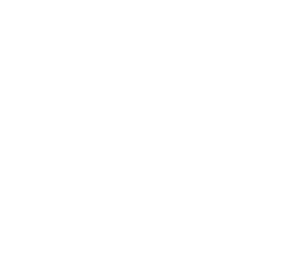 ski icon